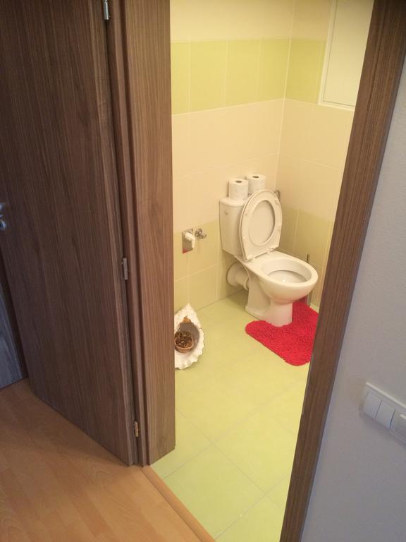 Apartment Fiala أولوموك الغرفة الصورة